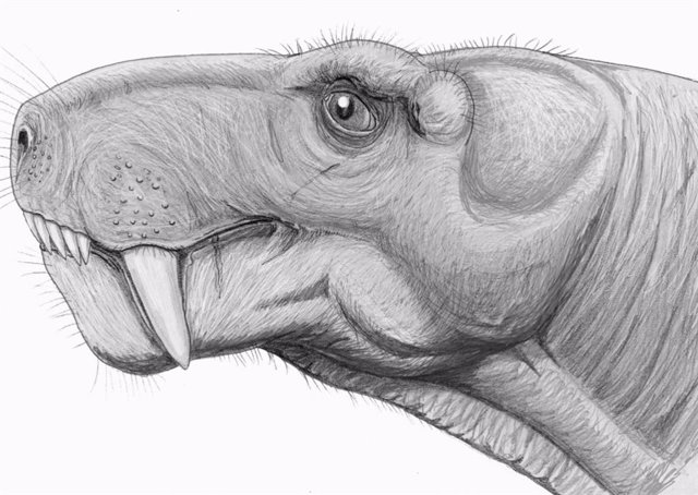 Los gorgonopsianos fueron los primeros animales con dientes de sable. Sus caninos se extendían hasta 13 centímetros.