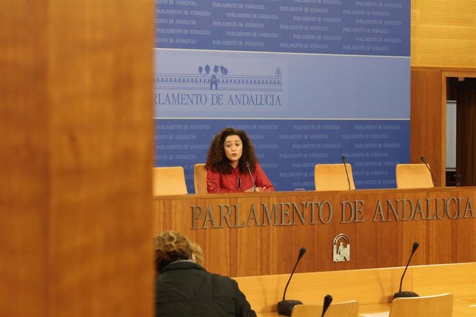 La portavoz parlamentaria de Adelante Andalucía, Inmaculada Nieto, en rueda de prensa.