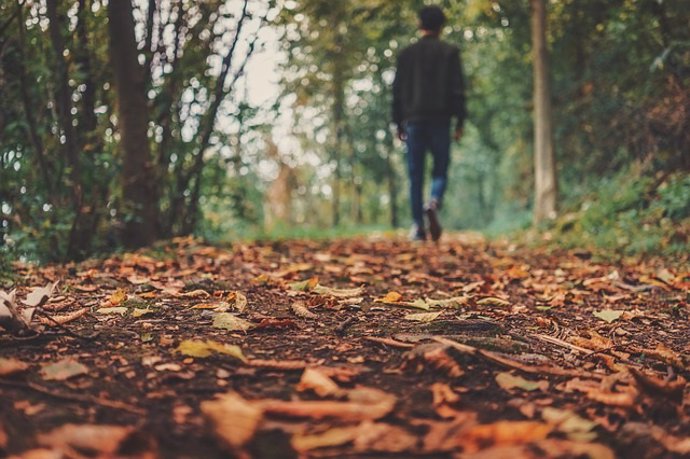 Otoño, paseo, caminar, hombre, andando