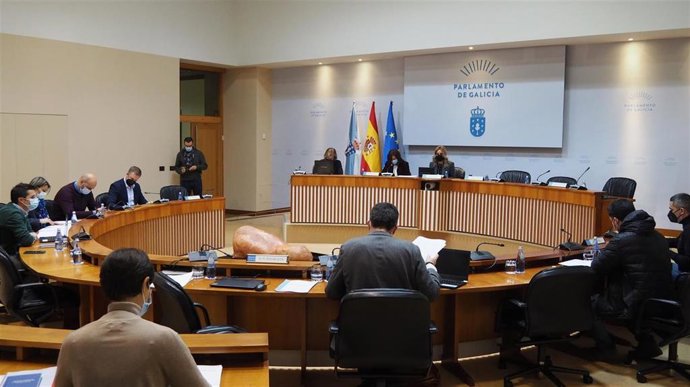 Comisión 6, Industria, Enerxía, Comercio e Turismo, celebrada el día 16 de diciembre de 2020 en el Parlamento de Galicia