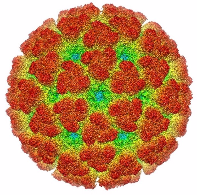 Recreación en 3D del virus chikungunya
