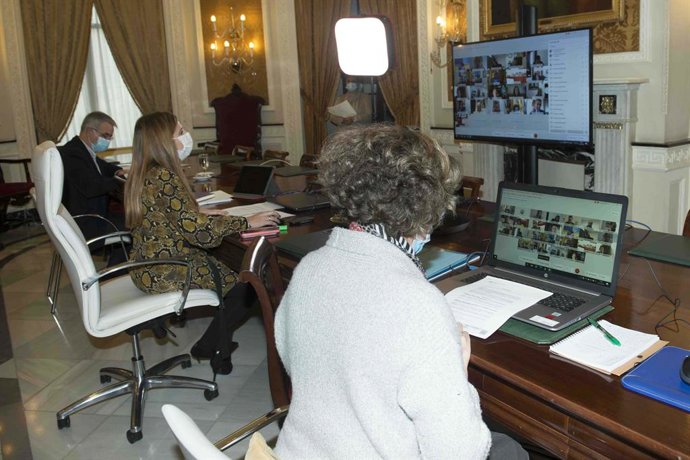 Irene García presidiendo el Pleno telemático de la Diputación del mes de diciembre