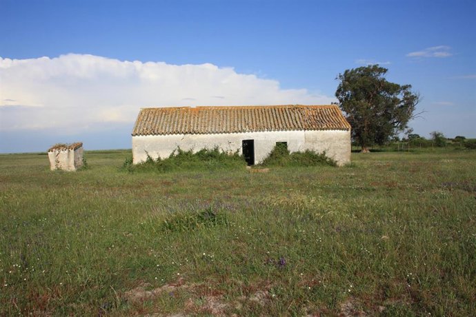 Edificación abandonada en Doñana.