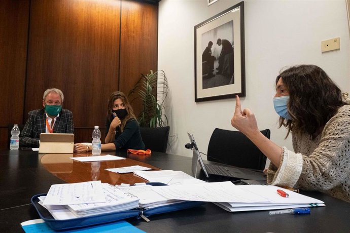 Reunión telemática del PP con cargos 'populares' con responsabilidades en sanidad.