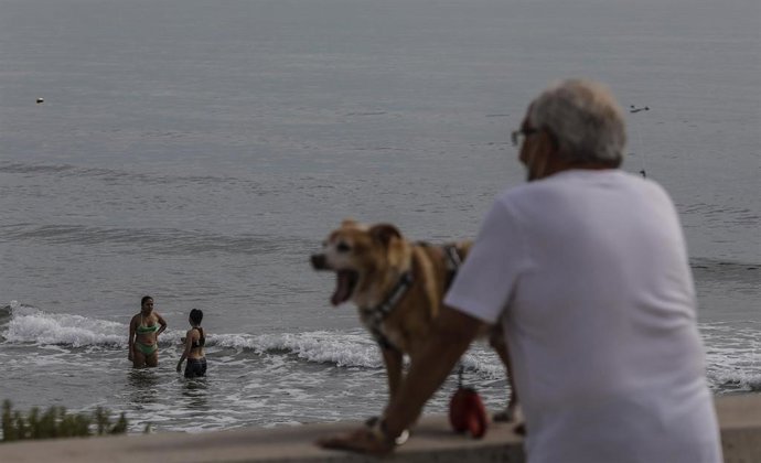 Un hombre con su perro en la Playa de la Malvarrosa, con bandera verde durante el primer día de la Fase 2, cuando se puede acceder a las playas de la misma provincia, isla o unidad territorial de referencia establecida en el plan de desescalada, y cuant