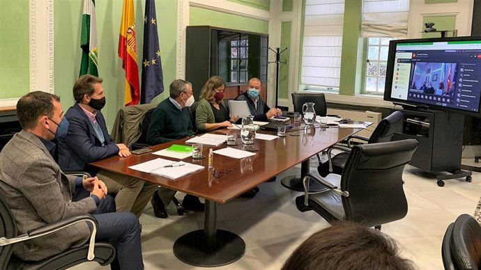 Consejo de Participación de Doñana, celebrado vía telemática.
