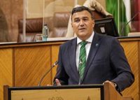 El Parlamento andaluz pide la prórroga de los ERTE durante el estado de alarma y la rebaja del IVA al turismo