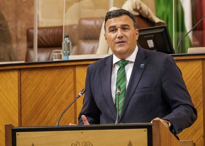 El parlamentario andaluz de Ciudadanos (Cs) Carlos Hernández, este jueves en el Pleno del Parlamento.