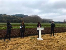 La consellera de Agricultura, Ganadería, Pesca y Alimentación de la Generalitat, Teresa Jord, presenta el nuevo plan de huertos, el 18 de diciembre de 2020.