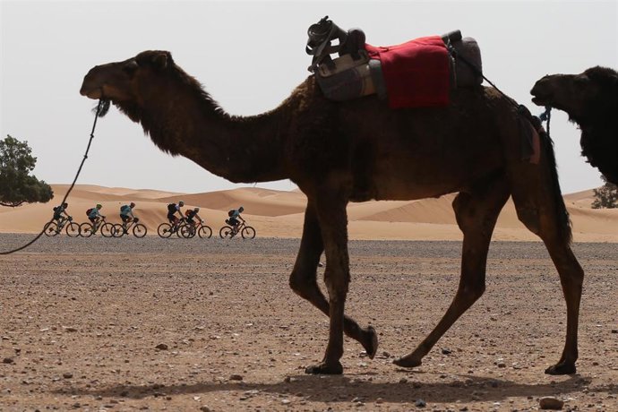 La Titan Desert de 2021 regresa a Marruecos del 23 al 28 de mayo