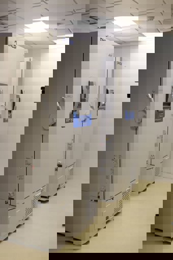 Aragón cuenta con dos cármas frigoríficas con capa