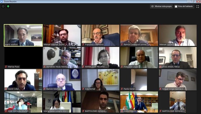 Reunión telemática de la junta directiva de la CEJ.