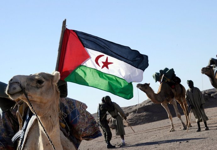 201127 Cv Sábado Solidario Sahara Occidental