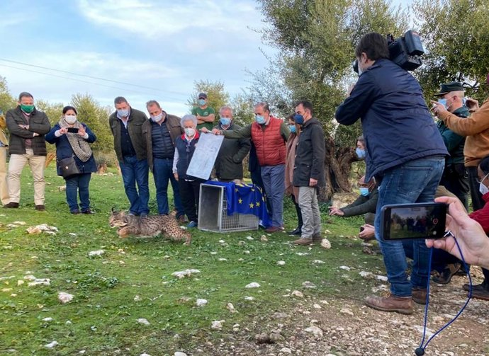 La consejera de Agricultura, Carmen Crespo, este viernes durante la suelta en Lora del Río (Sevilla) de un lince encontrado en Rociana del Condado (Huelva).