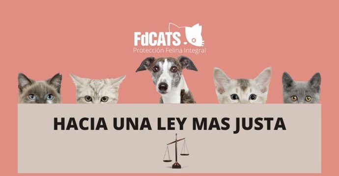 Imagen promocional de FdCATS a favor de una una Ley de Bienestar Animal "más justa".