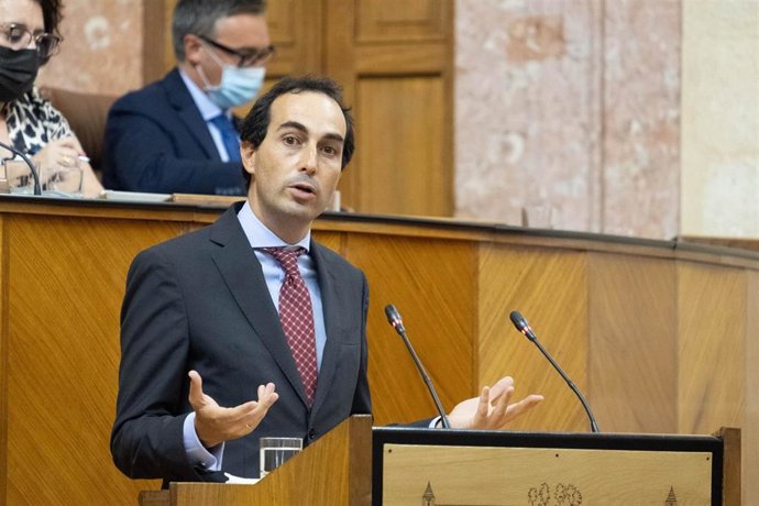 PP-A: "El gobierno andaluz defiende la libertad educativa frente a la imposición ideológica de la Ley Celaá"