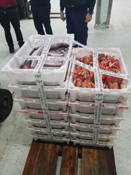 Cigala incautada en A Coruña