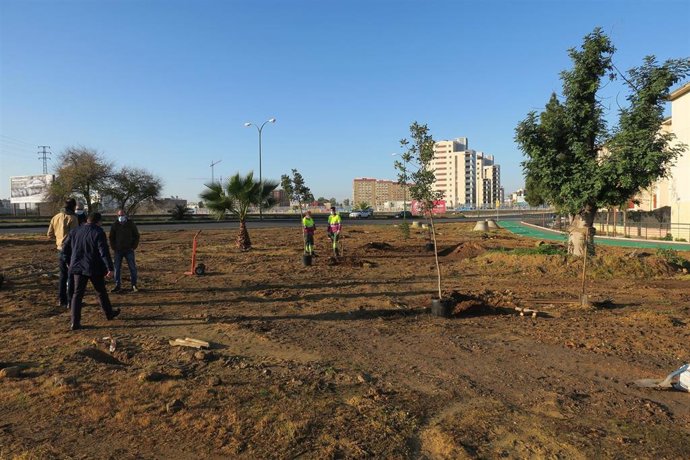 Plantación de árboles en la barriada de Murillo