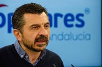 PP-A destaca que Andalucía tendrá "los mejores presupuestos" y pide al PSOE-A que "trabaje y arrime el hombro"