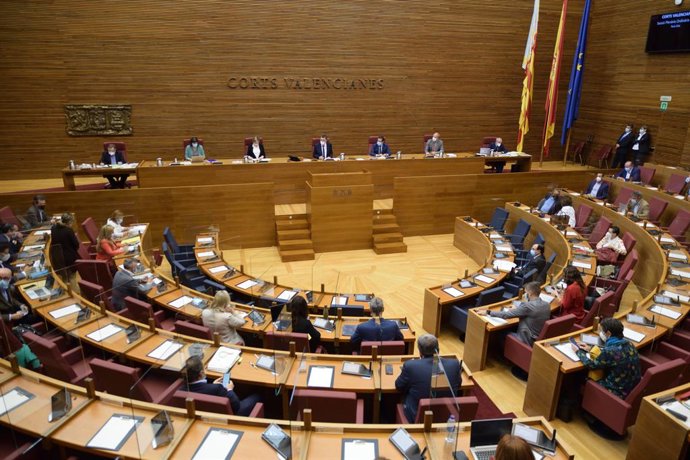 Ple dels Corts del 19 de novembre de 2020