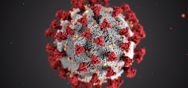 El terme 'coronavirus' ha estat seleccionat neologisme de l'any 2020