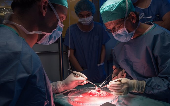 El centro ha realizado 100 intervenciones de este tipo