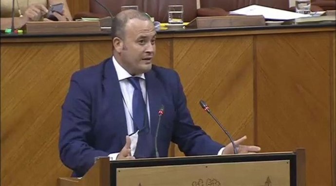 Julio Díaz, de Ciudadanos, durante una intervención en el Parlamento.