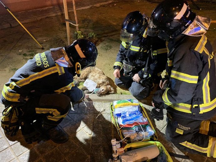 Herido grave un hombre que se tiró por la ventana al comenzar un incendio en su casa de San Blas