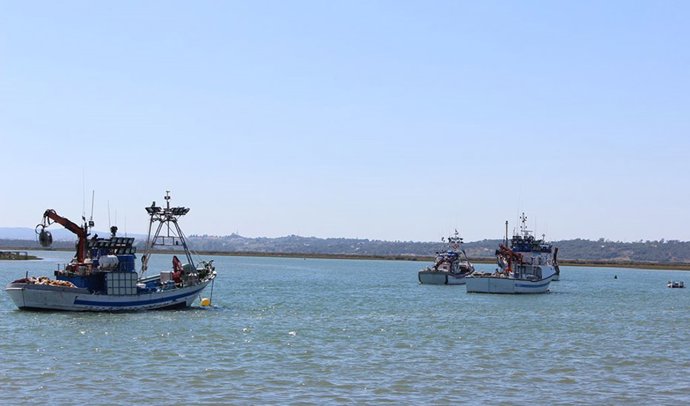 Barcos de pesca.