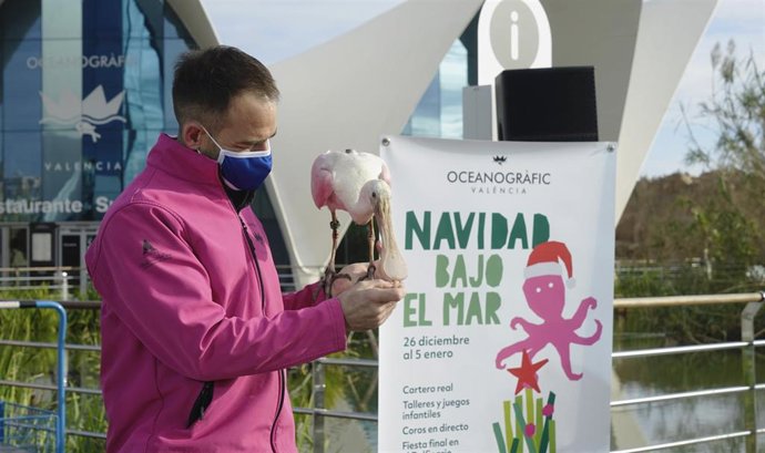 El Oceanogrfic presenta su festival 'Navidad bajo el mar'