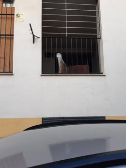 Edificio de Coria ocupado