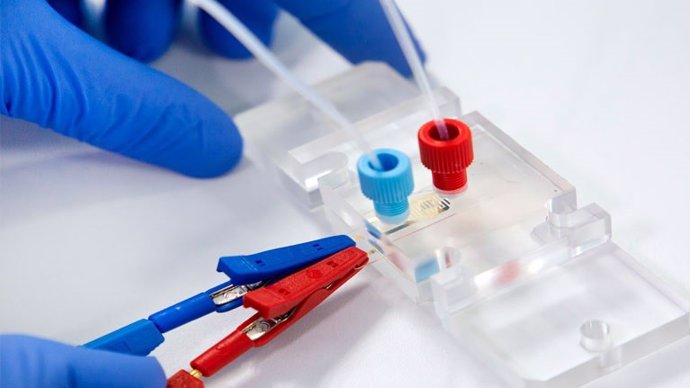 Desarrollan un kit "ultrasensible y rápido" como alternativa a las pruebas PCR para Covid-19