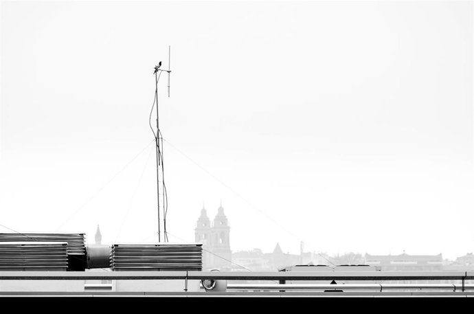 Fotografía ganadora del concurso fotográfico Enfoca Pamplona