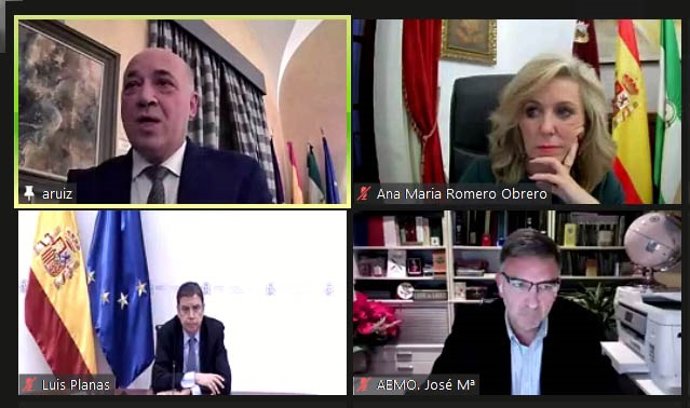 Luis Planas, Antonio Ruiz y Ana María Romero en el webinar sobre el aceite de oliva.