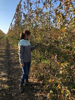 Explotación agraria