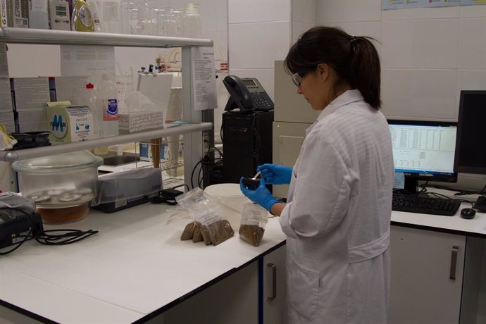 Investigadora en un laboratorio, foto de recurso