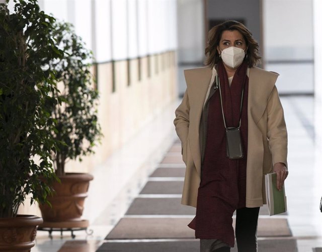 La secretaria del PSOE-A, Susana Díaz, a su llegada a la sesión de control al gobierno con preguntas al presidente de la Junta en la primera jornada del Pleno del Parlamento andaluz. En Sevilla (Andalucía, España). (Foto de archivo).