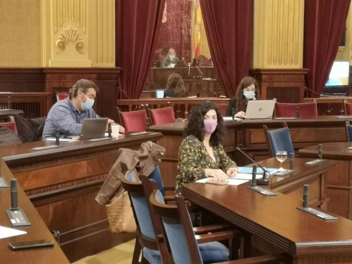 La consellera de Administraciones Públicas y Modernización, Isabel Castro, en el Parlament.
