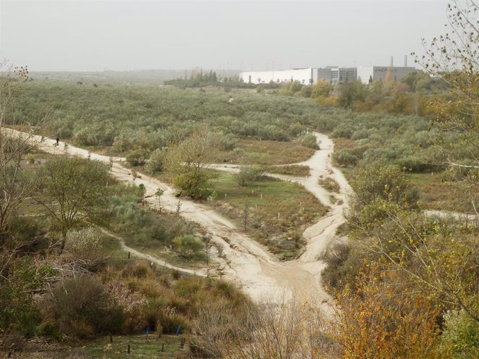 Corredor ecológico de biodiversidad en la Cañada Real