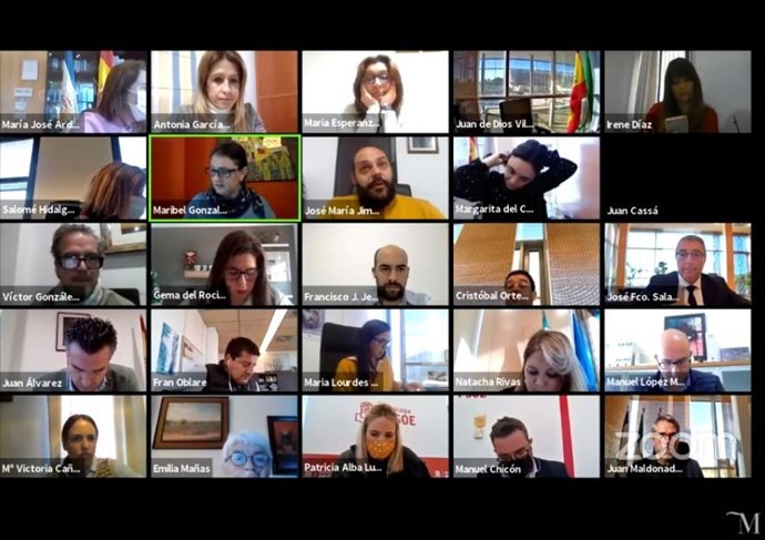 Pleno telemático de la Diputación de Málaga de 22 de diciembre de 2020