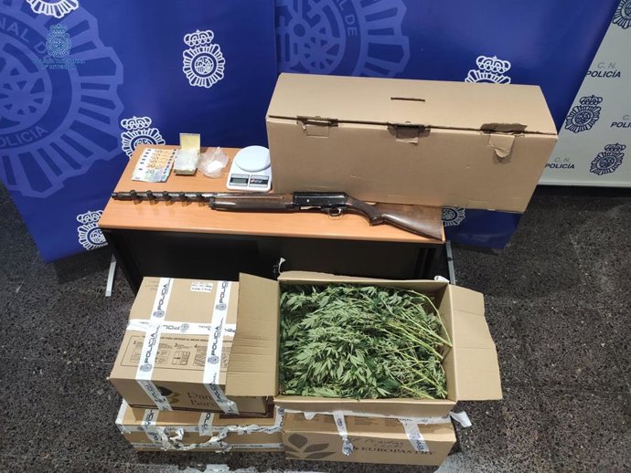 La Policía Nacional Y La Policía Local Desmantelan Una Plantación De Marihuana