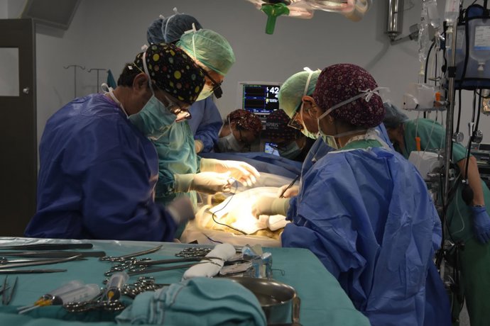 Imagen de archivo de la realización de un trasplante