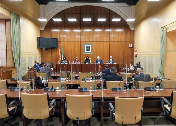 La Comisión Consultiva de Nombramientos, Relaciones con el DPA y Peticiones del Parlamento andaluz asiste a las comparecencias de las personas propuestas para ocupar las adjuntías del Defensor del Pueblo Andaluz.