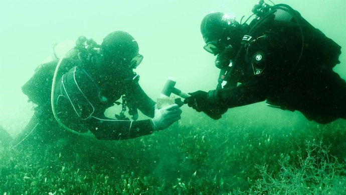 Imagen de la recogida de muestras en el Mar Menor
