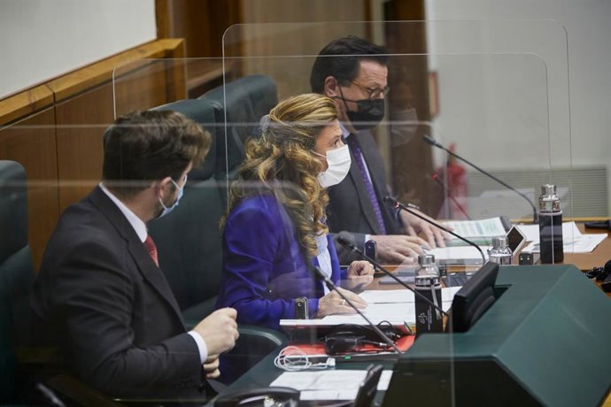 La consejera de Salud, Gotzone Sagardui, en su comparecencia este miércoles en la Comisión de Hacienda y Presupuestos del Parlamento Vasco