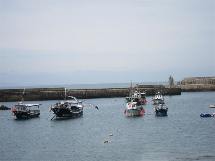 Barcos de pesca en el puerto de Tapia de Casariego.