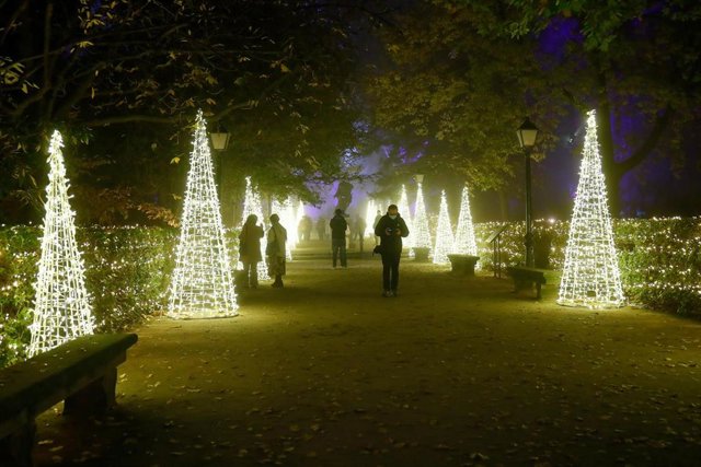 Detalle de la iluminación durante la inauguración de las luces de Navidad en el Real Jardín Botánico de Madrid con su 'Naturaleza Encendida' el día 17 de noviembre de 2020, en Madrid, España.