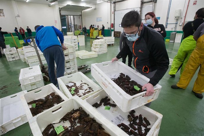 Superlonja de marisco celebrada en Burela, Lugo, el 22 de diciembre de 2020. Ultima lonja de marisco antes de la nochebuena en la Lonja de Burela. Los principales restauradores y exportadores han estado presentes en las pujas, donde los mejores ejemplar