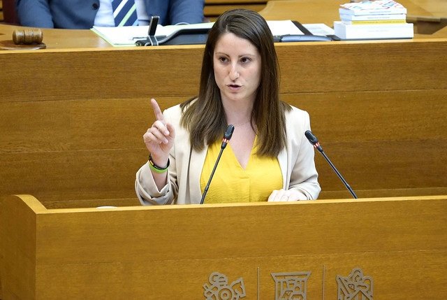 La portavoz de Vox en Les Corts Valencianes, Ana Vega
