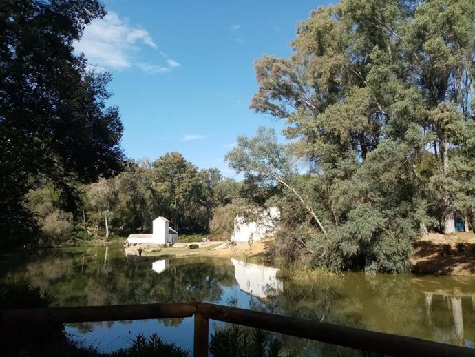 Riberas del río Guadaíra.